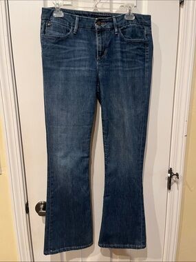 Joe's Jeans Visionaire Jeans